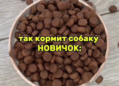 Простая еда на каждый день — забудьте о сложностях на кухне